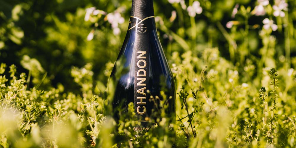 Os 50 anos da Chandon Brasil