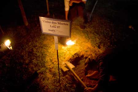 "Jantar dos Vinhos dos Mortos" na Quinta do Olivardo: desfrute de uma experiência única