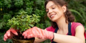 Jardinagem para iniciantes: 7 dicas para cuidar de plantas  