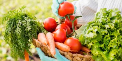 Cultive Hortaliças e Temperos em Casa