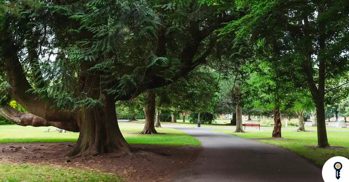 Entre natureza e negócios: por que investir no Bairro Aclimação Entre natureza e negócios: por que investir no Bairro Aclimação